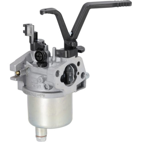 Carburateur BRIGGS & STRATTON 704930