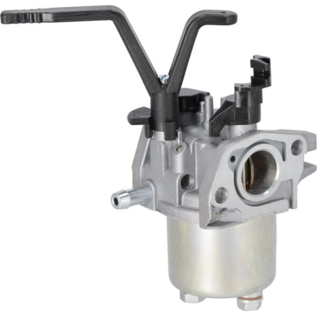 Carburateur BRIGGS & STRATTON 704930