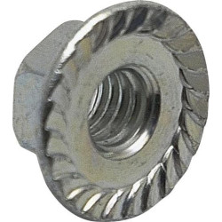 Écrou BRIGGS & STRATTON 703330
