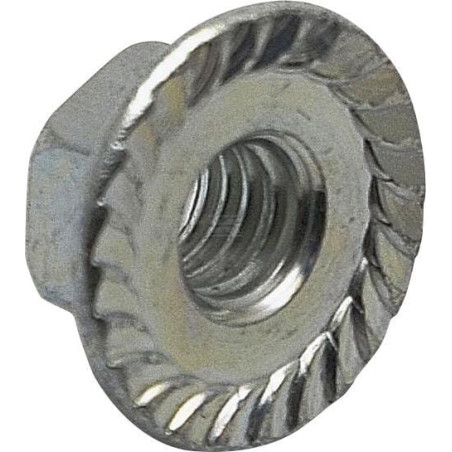 Écrou BRIGGS & STRATTON 703330