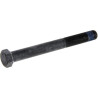 Vis BRIGGS & STRATTON 705032