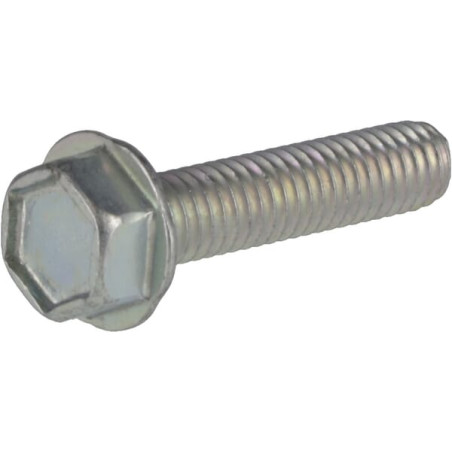 Vis BRIGGS & STRATTON 704318