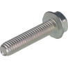 Vis BRIGGS & STRATTON 704318
