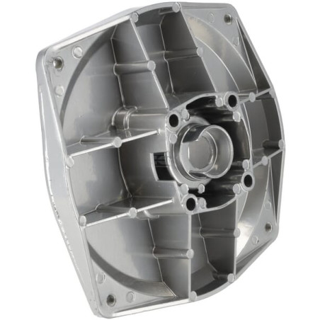 Adaptateur BRIGGS & STRATTON 704463