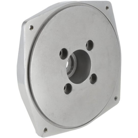 Adaptateur BRIGGS & STRATTON 704463