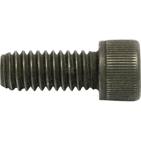 Vis BRIGGS & STRATTON 7091738SM