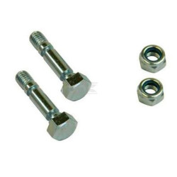Kit BRIGGS & STRATTON 707555