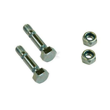 Kit BRIGGS & STRATTON 707555