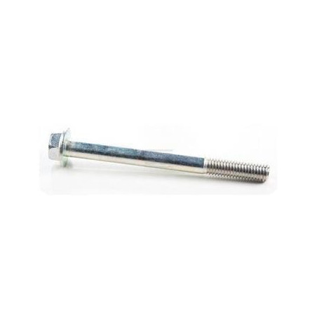 Vis BRIGGS & STRATTON 710204
