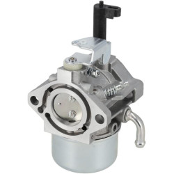 Carburateur BRIGGS & STRATTON 712467