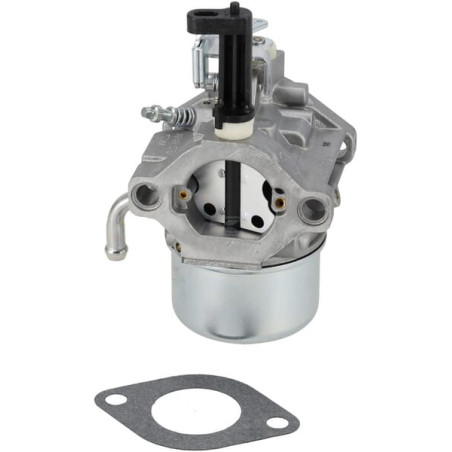 Carburateur BRIGGS & STRATTON 712467
