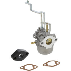 Carburateur BRIGGS & STRATTON 716034