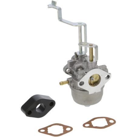 Carburateur BRIGGS & STRATTON 716034