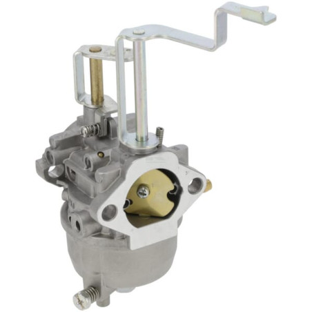 Carburateur BRIGGS & STRATTON 716034