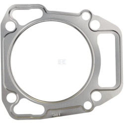 Joint de culasse BRIGGS & STRATTON 712429