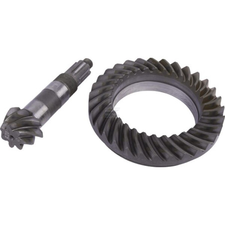 Conical SPICER DANA 7380450541