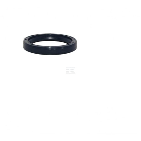 Bague-jointte KÄRCHER 73670110