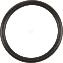 Bague CNH 717068R1