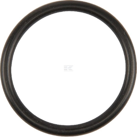 Bague CNH 717068R1