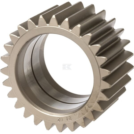 Pignon de différentiel SPICER DANA 7300602402