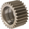 Pignon de différentiel SPICER DANA 7300602402