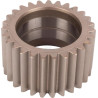 Pignon de différentiel SPICER DANA 7300602403