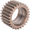 Pignon de différentiel SPICER DANA 7300602403