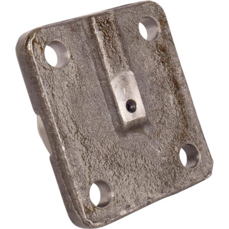 Pivot SPICER DANA 7250601401