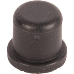 Bouchon SPICER DANA 7340701501