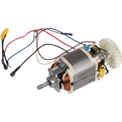 Moteur électrique WOLF-GARTEN 7493060