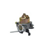 Carburateur MTD 75114423