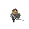 Carburateur MTD 75114423