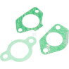 Kit MTD 75114179