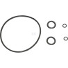 Kit MTD 75114179