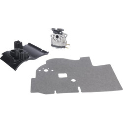 Carburateur MTD 75308025