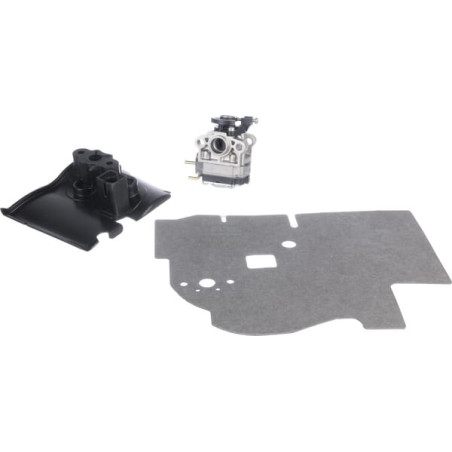 Carburateur MTD 75308025