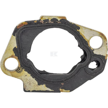 Plaque MTD 75111525