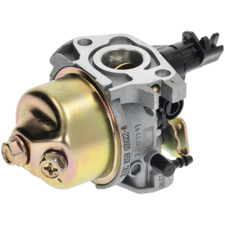 Carburateur MTD 75110974A