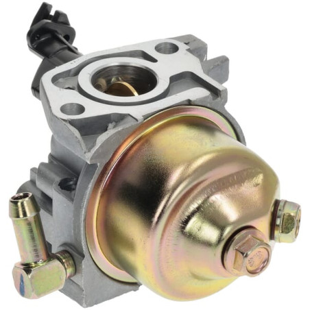 Carburateur MTD 75110974A