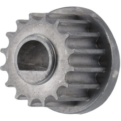 Pignon MTD 75605066