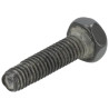 Vis BRIGGS & STRATTON 792629