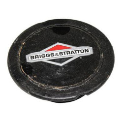 Cache BRIGGS & STRATTON 794129