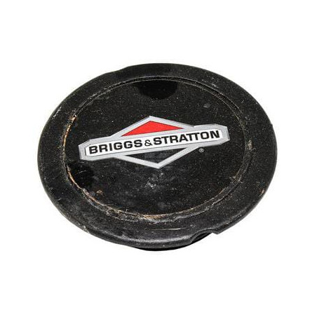 Cache BRIGGS & STRATTON 794129