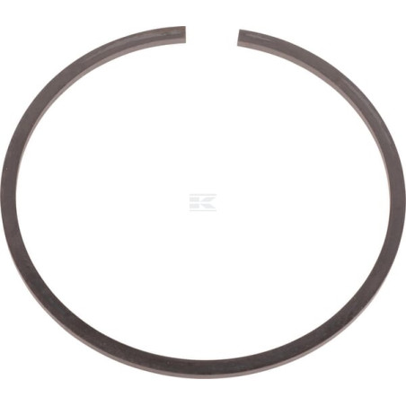 Bague d'étanchéité RAICO 79061087N
