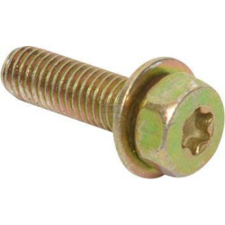 Vis BRIGGS & STRATTON 795012