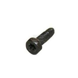 Vis BRIGGS & STRATTON 794904