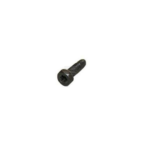 Vis BRIGGS & STRATTON 794904