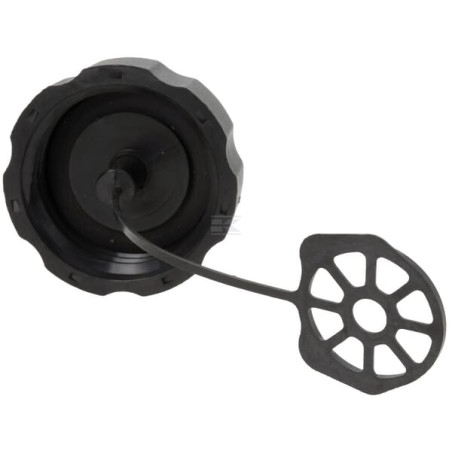 Bouchon de réservoir BRIGGS & STRATTON 790882