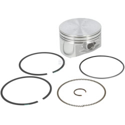 Ensemble BRIGGS & STRATTON 793648