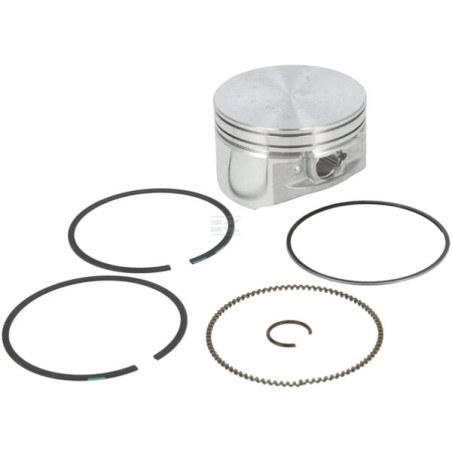 Ensemble BRIGGS & STRATTON 793648